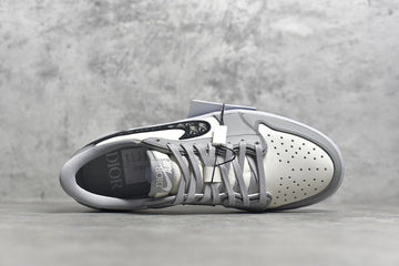 Dior X Air jordan